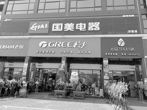 下沉市场家电连锁换新颜，国美新零售店获县域老板点赞